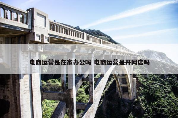 电商运营是在家办公吗 电商运营是开网店吗