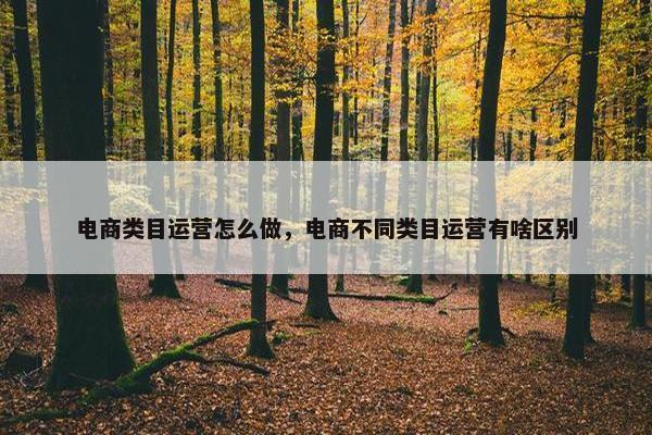 电商类目运营怎么做，电商不同类目运营有啥区别