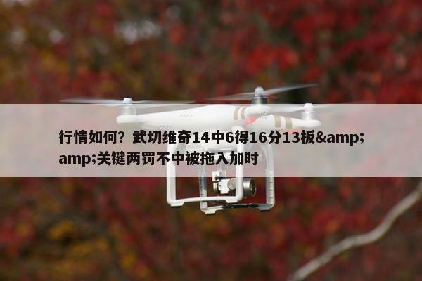 行情如何？武切维奇14中6得16分13板&amp;关键两罚不中被拖入加时