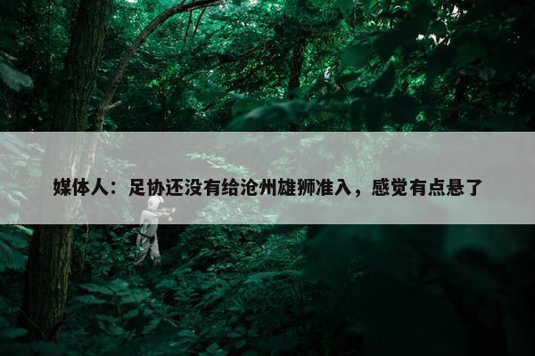 媒体人：足协还没有给沧州雄狮准入，感觉有点悬了