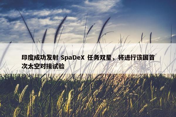 印度成功发射 SpaDeX 任务双星，将进行该国首次太空对接试验