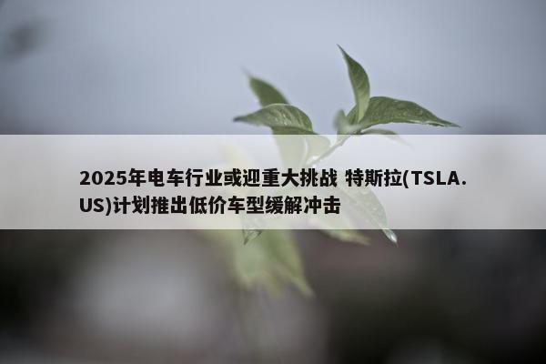 2025年电车行业或迎重大挑战 特斯拉(TSLA.US)计划推出低价车型缓解冲击