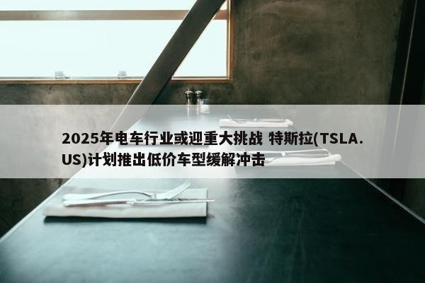 2025年电车行业或迎重大挑战 特斯拉(TSLA.US)计划推出低价车型缓解冲击