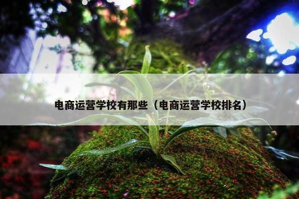 电商运营学校有那些（电商运营学校排名）