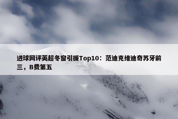 进球网评英超冬窗引援Top10：范迪克维迪奇苏牙前三，B费第五