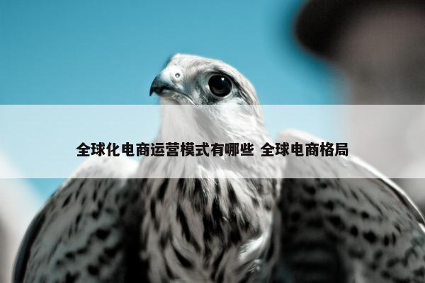 全球化电商运营模式有哪些 全球电商格局