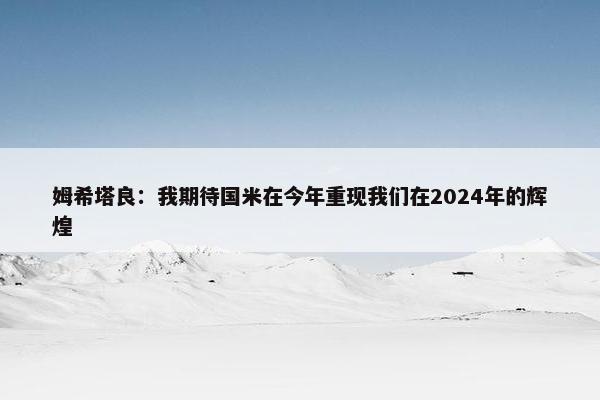 姆希塔良：我期待国米在今年重现我们在2024年的辉煌