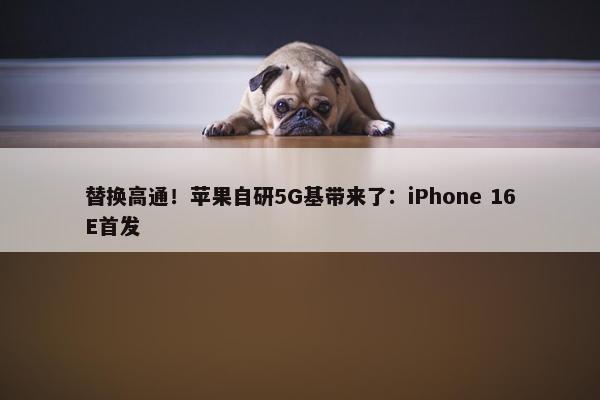 替换高通！苹果自研5G基带来了：iPhone 16E首发