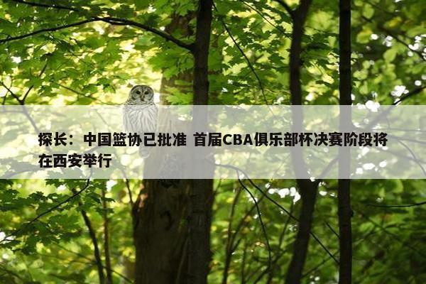 探长：中国篮协已批准 首届CBA俱乐部杯决赛阶段将在西安举行