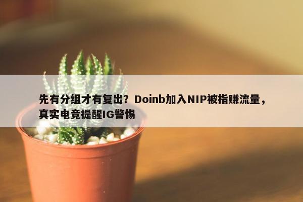 先有分组才有复出？Doinb加入NIP被指赚流量，真实电竞提醒IG警惕