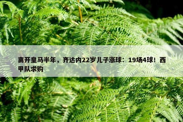 离开皇马半年，齐达内22岁儿子涨球：19场4球！西甲队求购