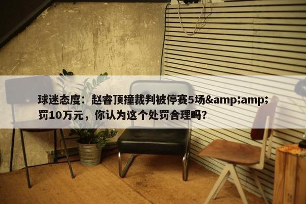 球迷态度：赵睿顶撞裁判被停赛5场&amp;罚10万元，你认为这个处罚合理吗？