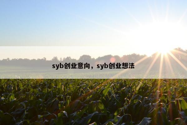 syb创业意向，syb创业想法