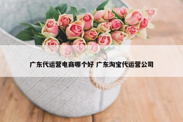 广东代运营电商哪个好 广东淘宝代运营公司