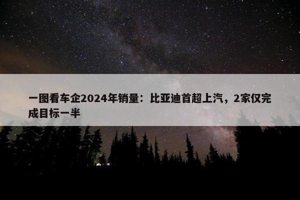 一图看车企2024年销量：比亚迪首超上汽，2家仅完成目标一半