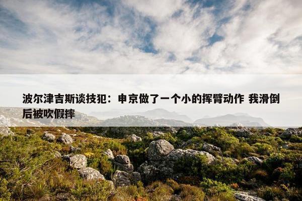 波尔津吉斯谈技犯：申京做了一个小的挥臂动作 我滑倒后被吹假摔