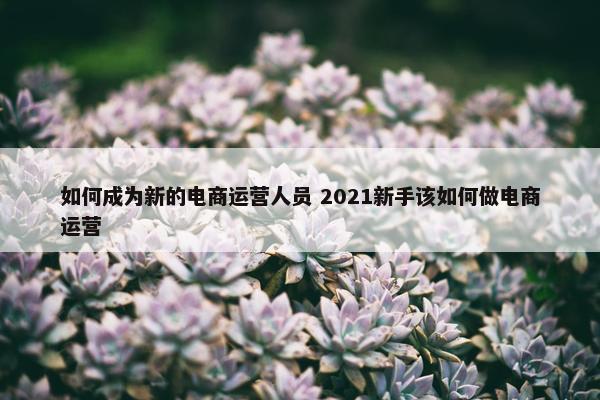 如何成为新的电商运营人员 2021新手该如何做电商运营