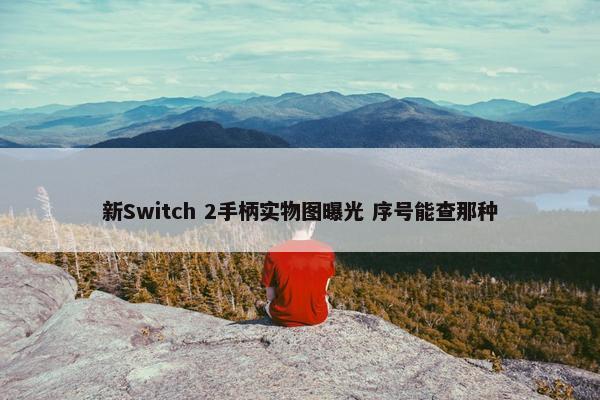 新Switch 2手柄实物图曝光 序号能查那种