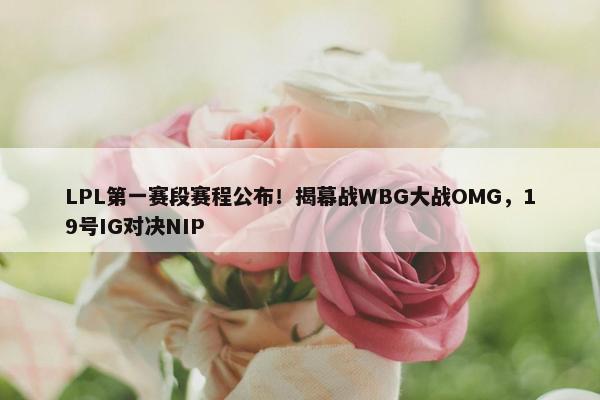 LPL第一赛段赛程公布！揭幕战WBG大战OMG，19号IG对决NIP