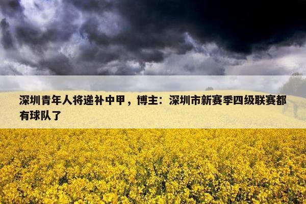 深圳青年人将递补中甲，博主：深圳市新赛季四级联赛都有球队了