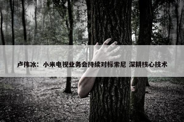 卢伟冰：小米电视业务会持续对标索尼 深耕核心技术