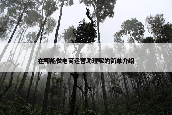 在哪能做电商运营助理呢的简单介绍