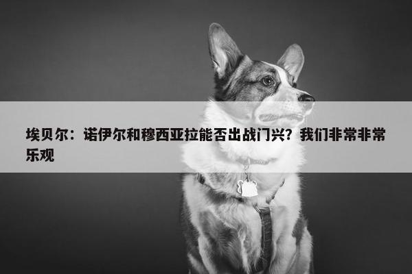 埃贝尔：诺伊尔和穆西亚拉能否出战门兴？我们非常非常乐观