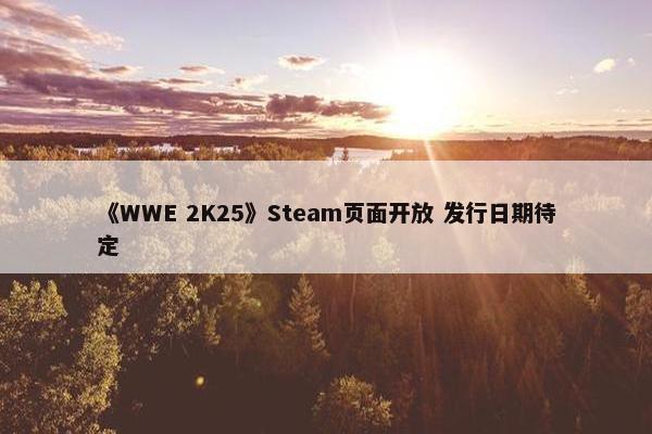 《WWE 2K25》Steam页面开放 发行日期待定