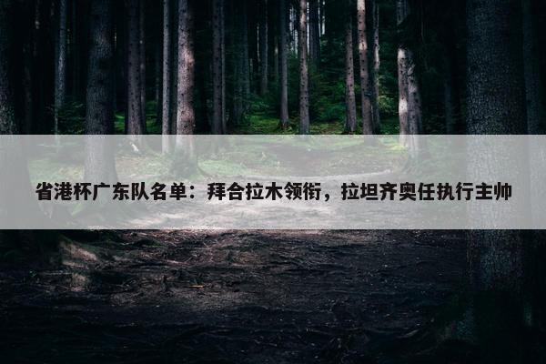 省港杯广东队名单：拜合拉木领衔，拉坦齐奥任执行主帅