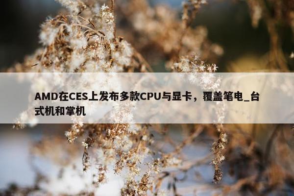 AMD在CES上发布多款CPU与显卡，覆盖笔电_台式机和掌机