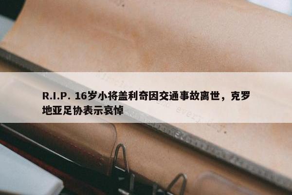 R.I.P. 16岁小将盖利奇因交通事故离世，克罗地亚足协表示哀悼