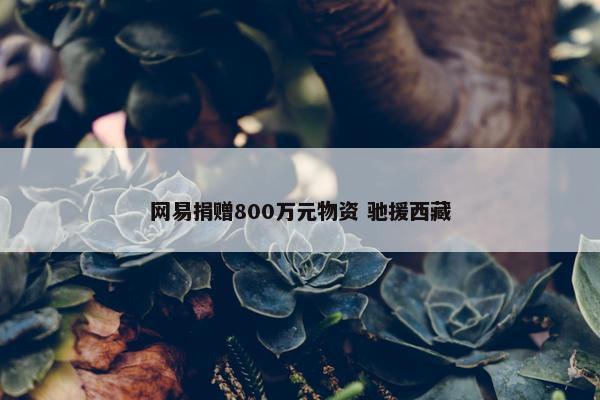 网易捐赠800万元物资 驰援西藏