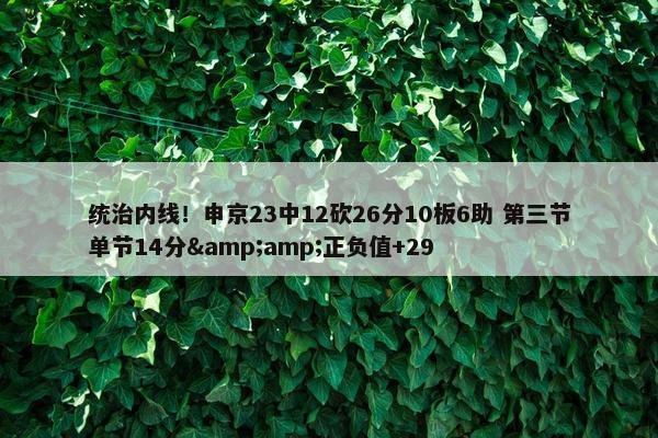 统治内线！申京23中12砍26分10板6助 第三节单节14分&amp;正负值+29