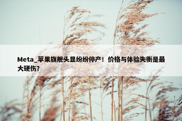 Meta_苹果旗舰头显纷纷停产！价格与体验失衡是最大硬伤？