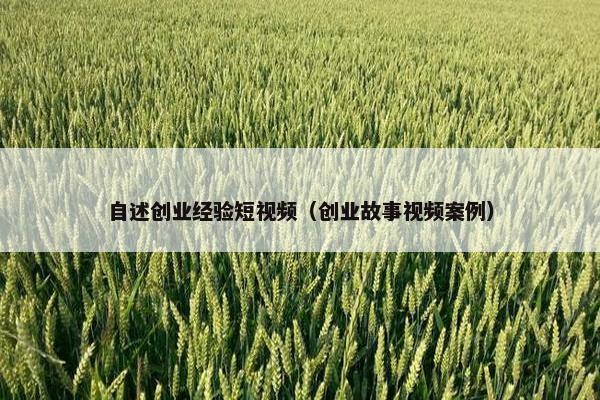 自述创业经验短视频（创业故事视频案例）