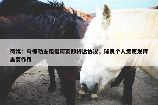 荷媒：乌得勒支租借阿莱即将达协议，球员个人意愿发挥重要作用