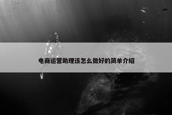 电商运营助理该怎么做好的简单介绍