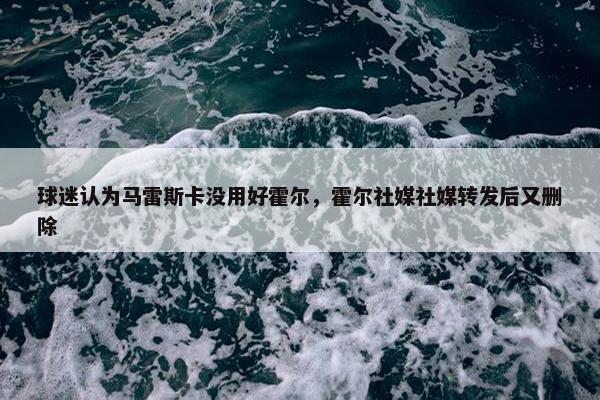 球迷认为马雷斯卡没用好霍尔，霍尔社媒社媒转发后又删除