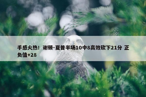 手感火热！谢顿-夏普半场10中8高效砍下21分 正负值+28