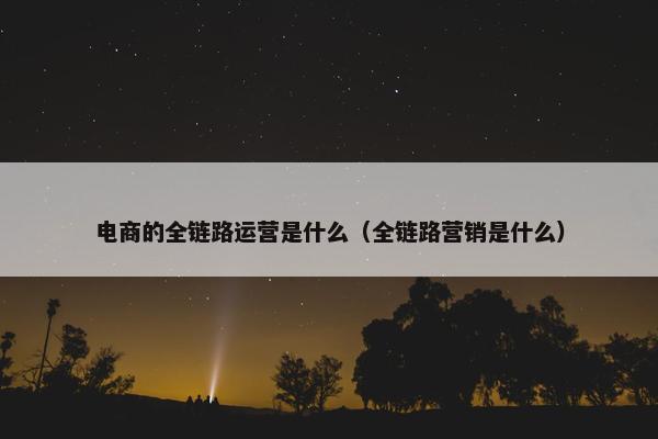 电商的全链路运营是什么（全链路营销是什么）