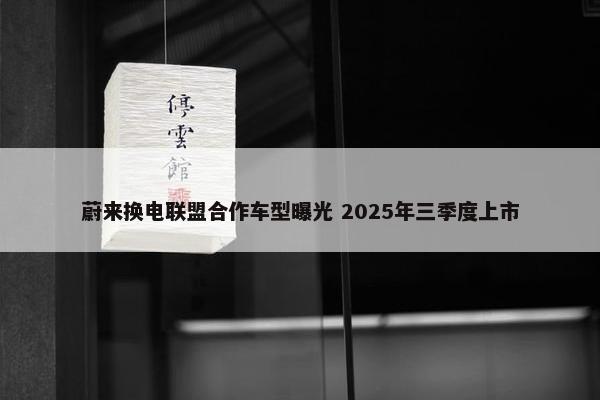 蔚来换电联盟合作车型曝光 2025年三季度上市