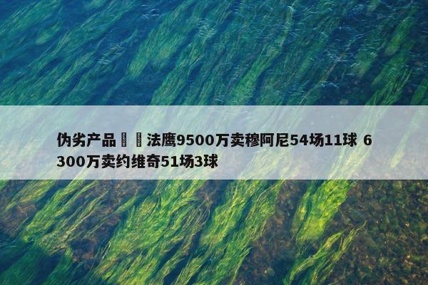 伪劣产品❌️法鹰9500万卖穆阿尼54场11球 6300万卖约维奇51场3球