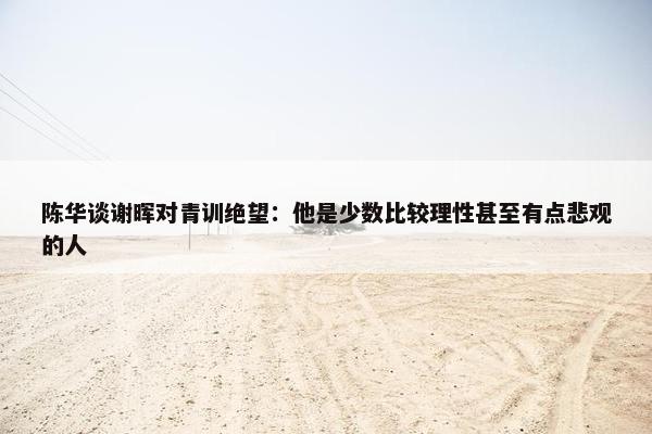 陈华谈谢晖对青训绝望：他是少数比较理性甚至有点悲观的人