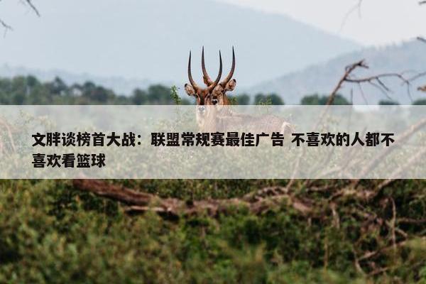 文胖谈榜首大战：联盟常规赛最佳广告 不喜欢的人都不喜欢看篮球