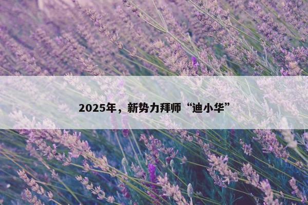 2025年，新势力拜师“迪小华”