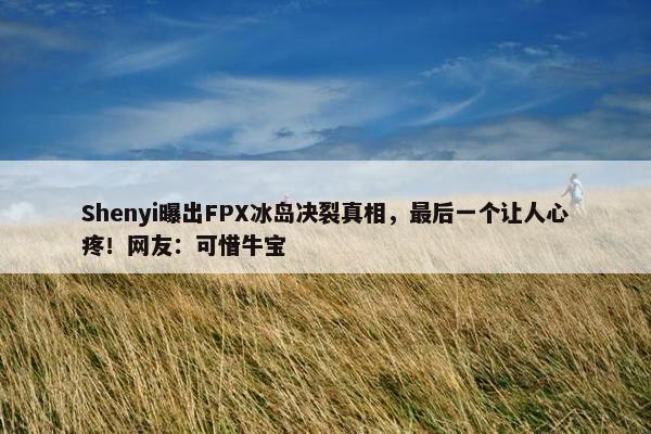 Shenyi曝出FPX冰岛决裂真相，最后一个让人心疼！网友：可惜牛宝