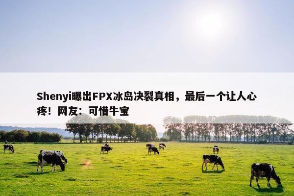 Shenyi曝出FPX冰岛决裂真相，最后一个让人心疼！网友：可惜牛宝