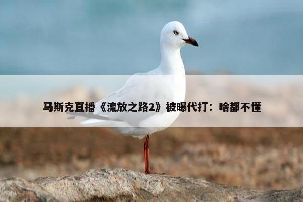 马斯克直播《流放之路2》被曝代打：啥都不懂