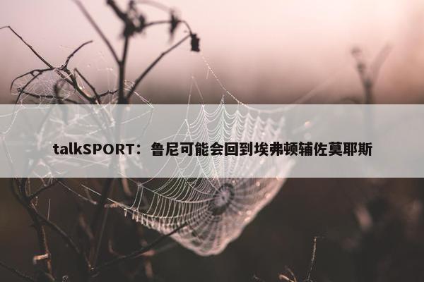 talkSPORT：鲁尼可能会回到埃弗顿辅佐莫耶斯