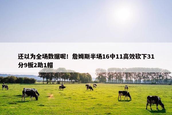 还以为全场数据呢！詹姆斯半场16中11高效砍下31分9板2助1帽